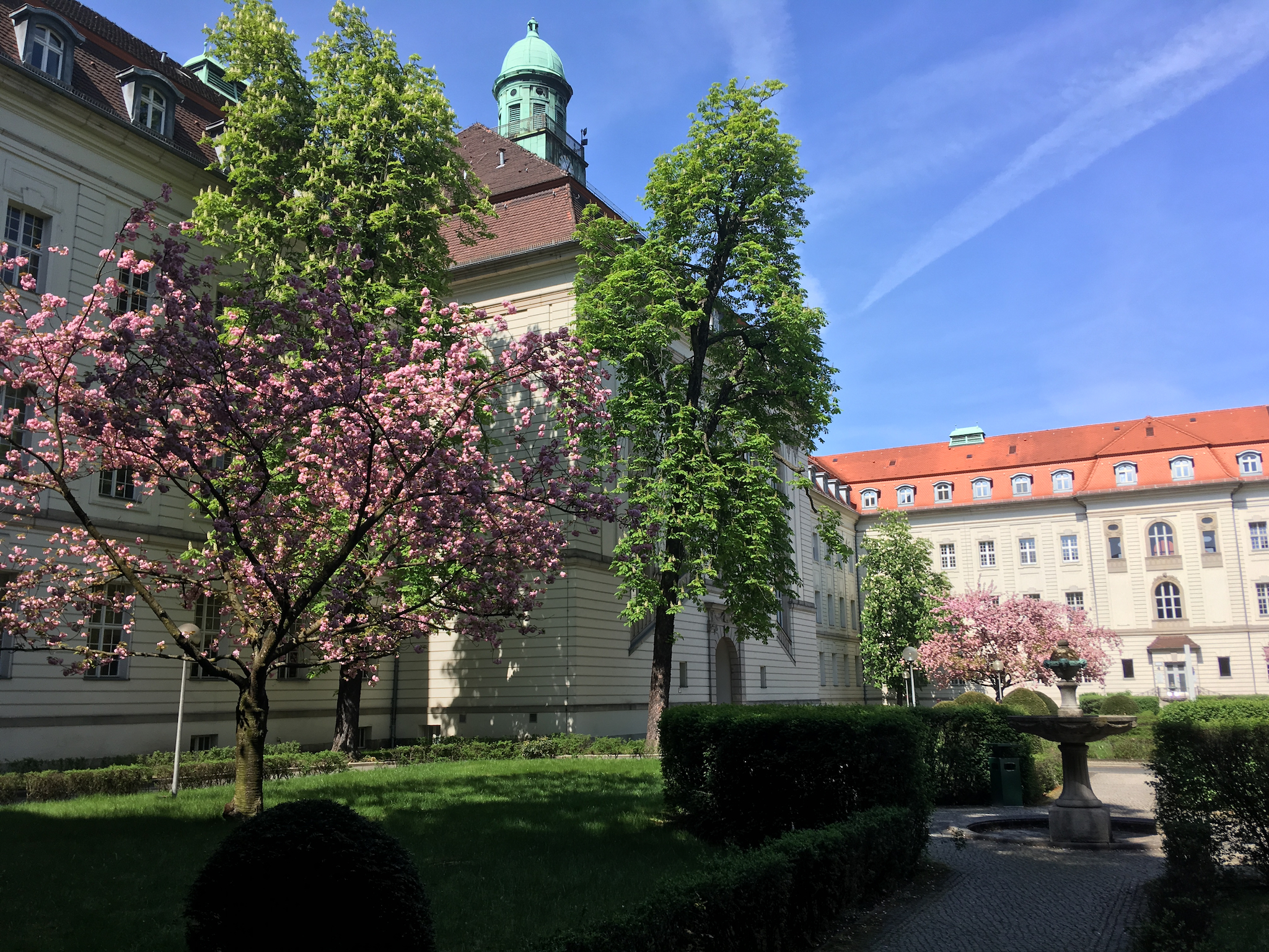 Campus Virchow Klinikum