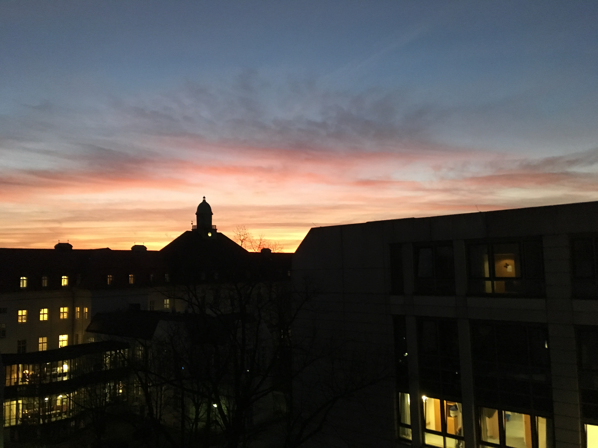 Charité - Universitätsmedizin Berlin