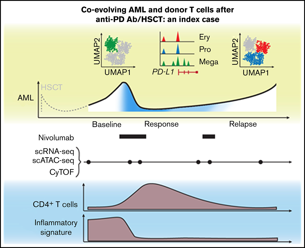 Coevolving JAK2V617F+relapsed AML and donor T cells with PD-1 blockade after stem cell transplantation: an index case