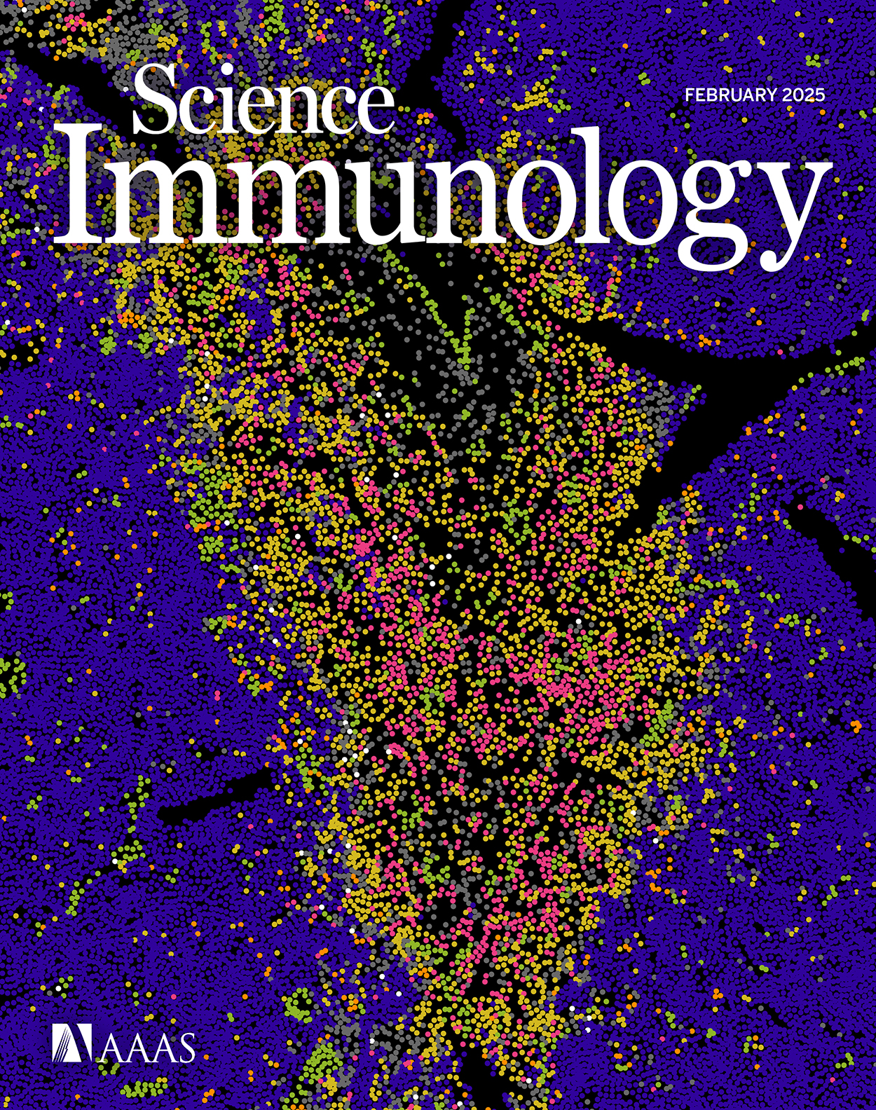 Coordinated immune networks in leukemia bone marrow microenvironments distinguish response to cellular therapy