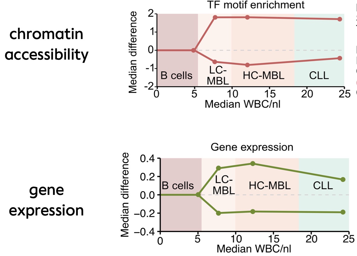 Single-cell epigenetic and transcriptomic states across the continuum of monoclonal B cell lymphocytosis to chronic lymphocytic leukemia